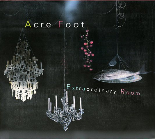 acrefoot_final_4panels copy 2.jpeg