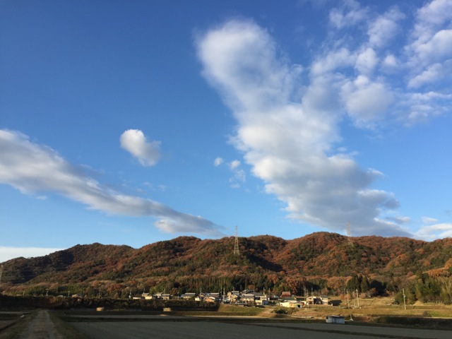 IMG_9560.jpeg