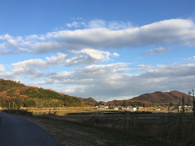 IMG_9567.jpeg