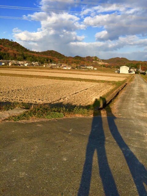 IMG_E9554.jpeg
