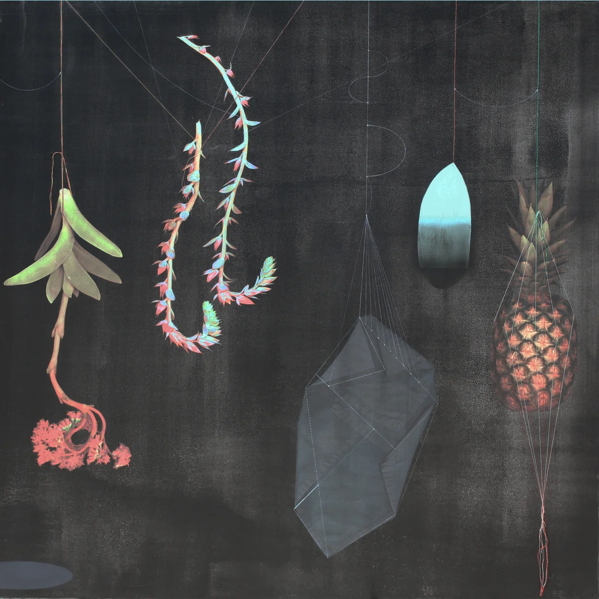 Pinapple and Succulent#101