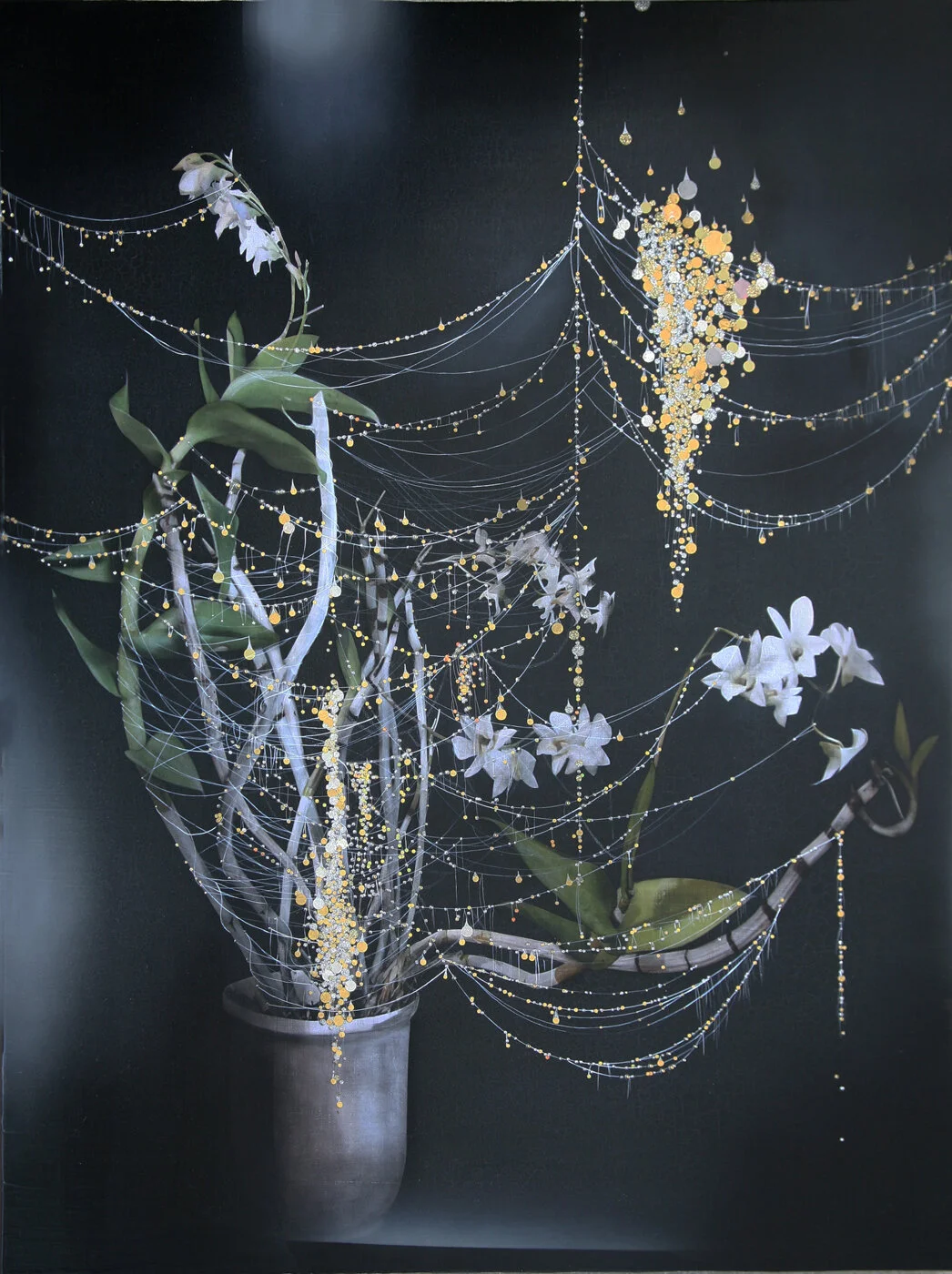 Night and Sekkoku(Dendrobium Monili)#101
