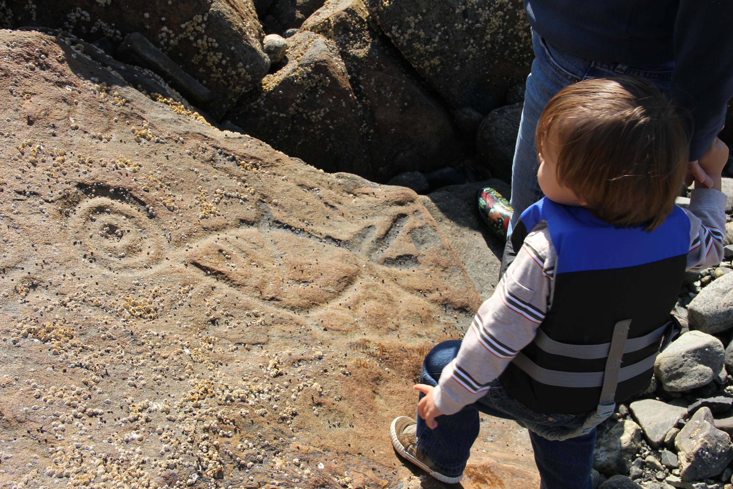 Southeast Alaska Petroglyphs