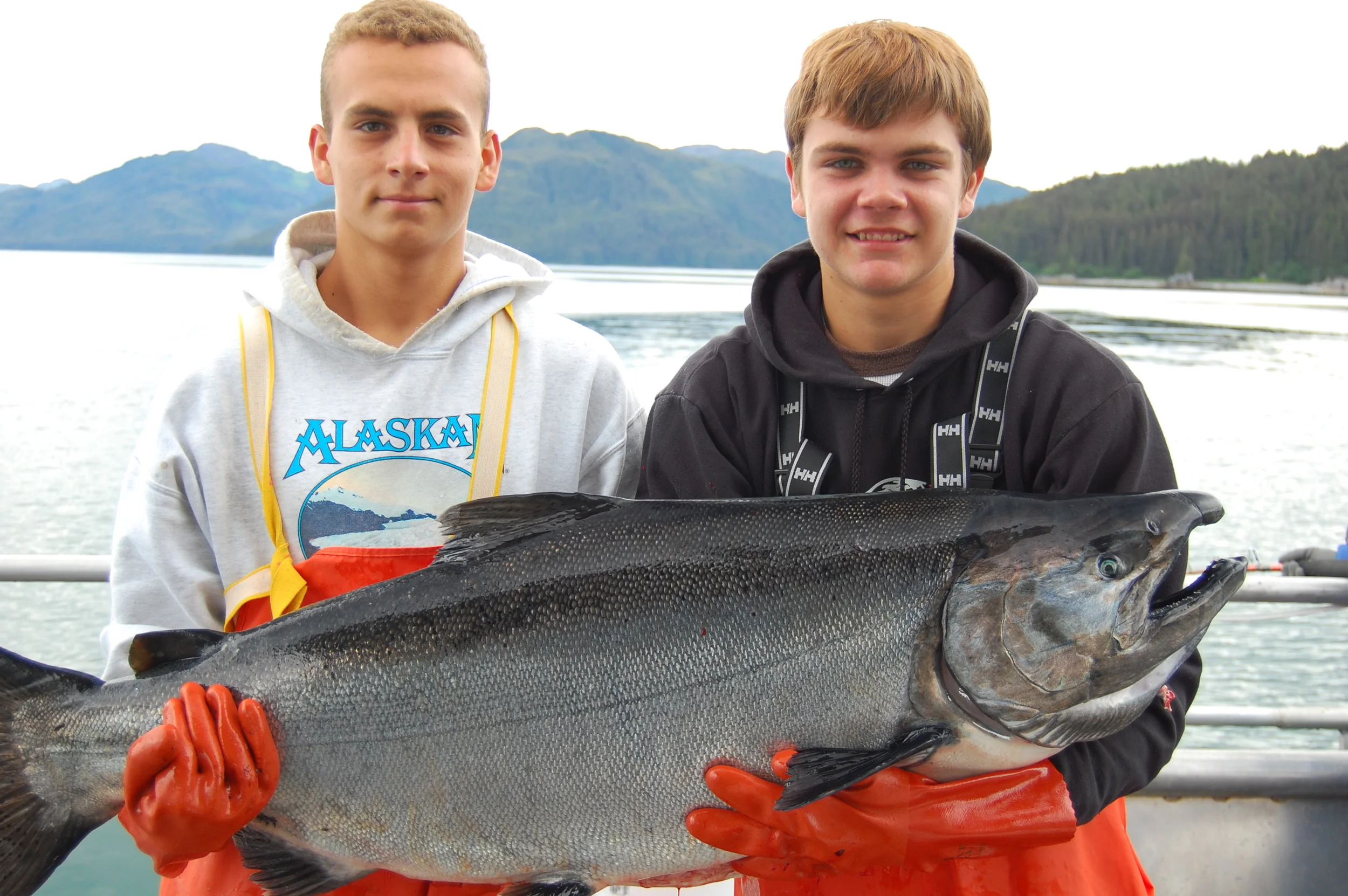 70# Alaska King Salmon