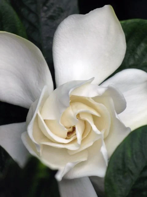 19IMG_4964.jpg