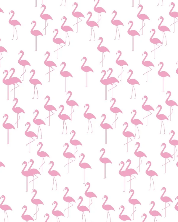 FlamingoLR.jpg