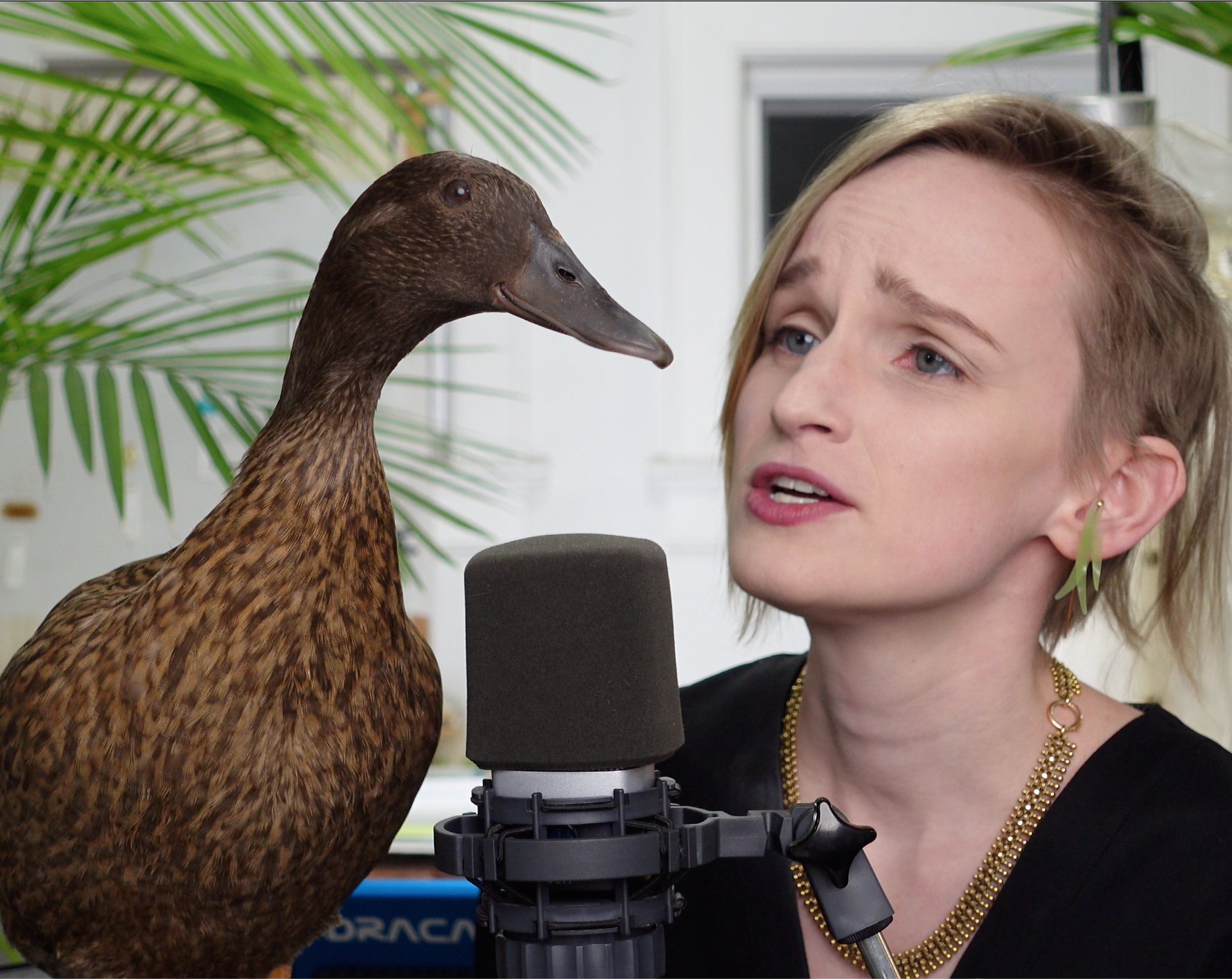 About Charlotte Mccurdy