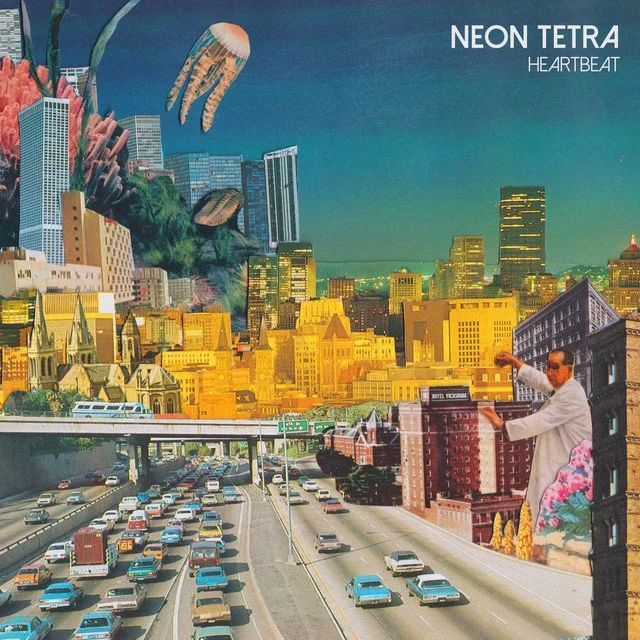 Neon Tetra Heartbeat.jpeg