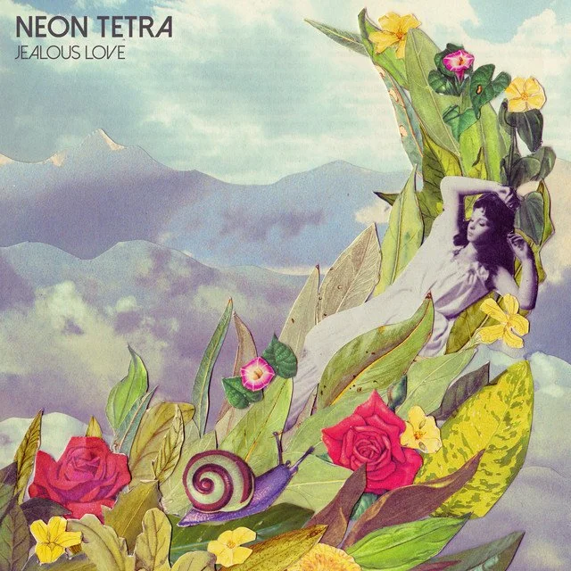 Neon Tetra Jealous Love.jpeg