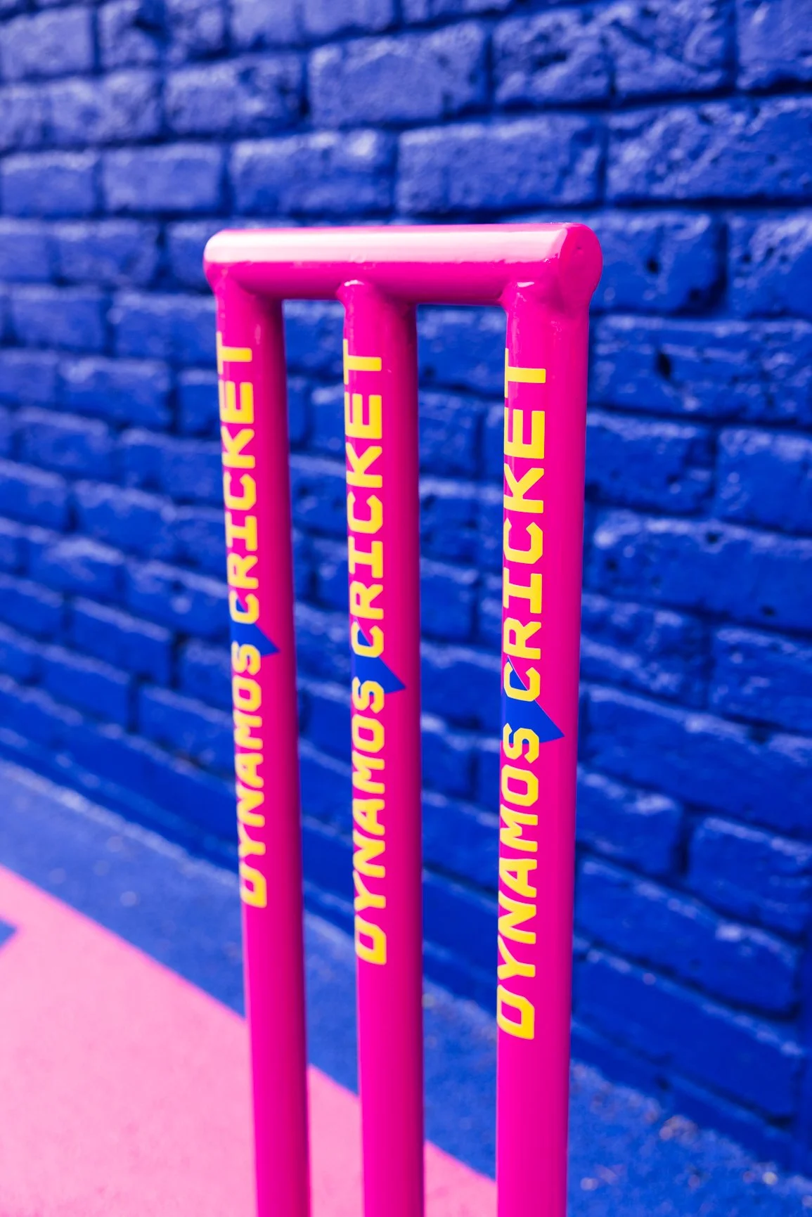 Sky Dynamos Intros-7.jpg