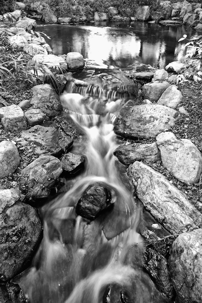 Ginter Botanical Gardens Richmond, VA