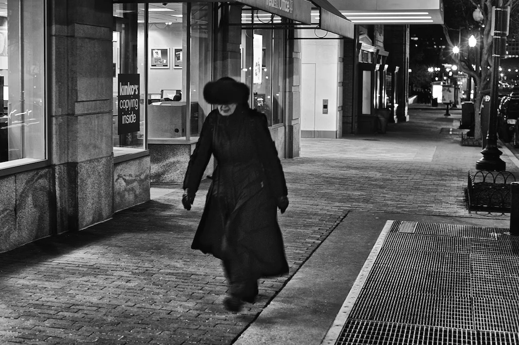 Winter Walk DC