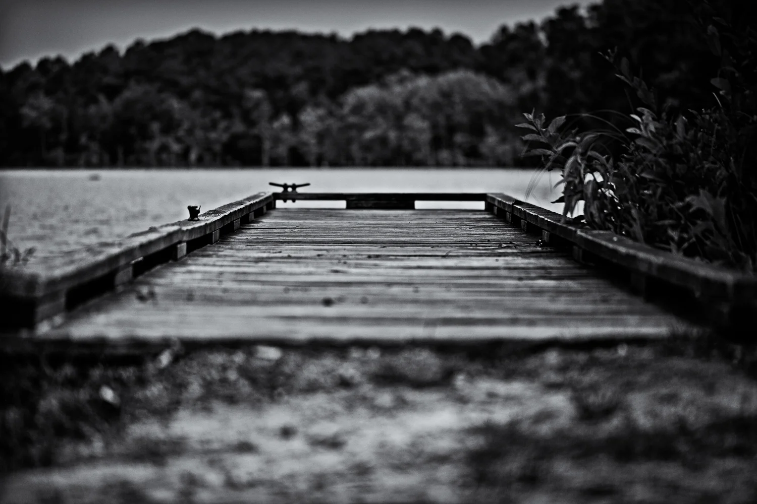 DPP07DB0704110C09 (1).jpg