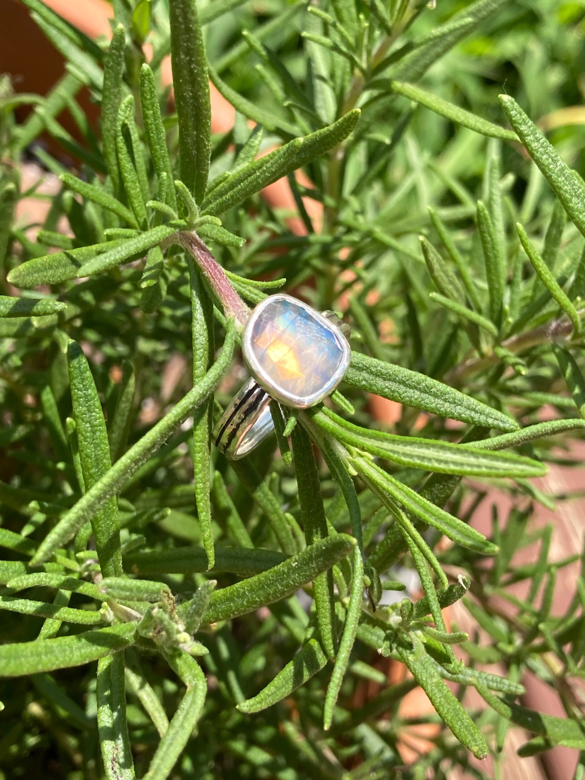 0493C637-AECC-4763-8F97-29E5ECD7F119