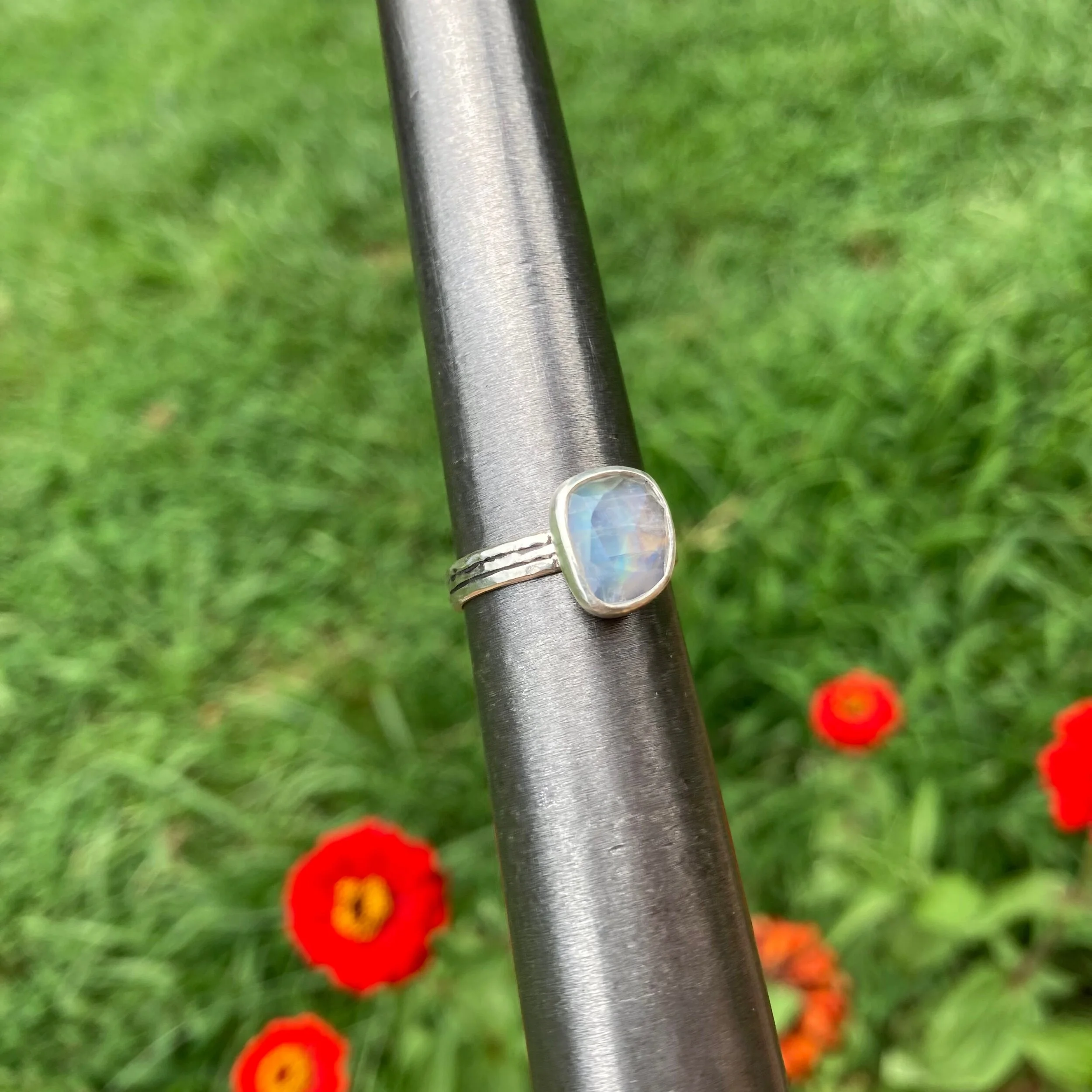 5849A9B8-F742-43B3-95F1-3EA7D5590E13