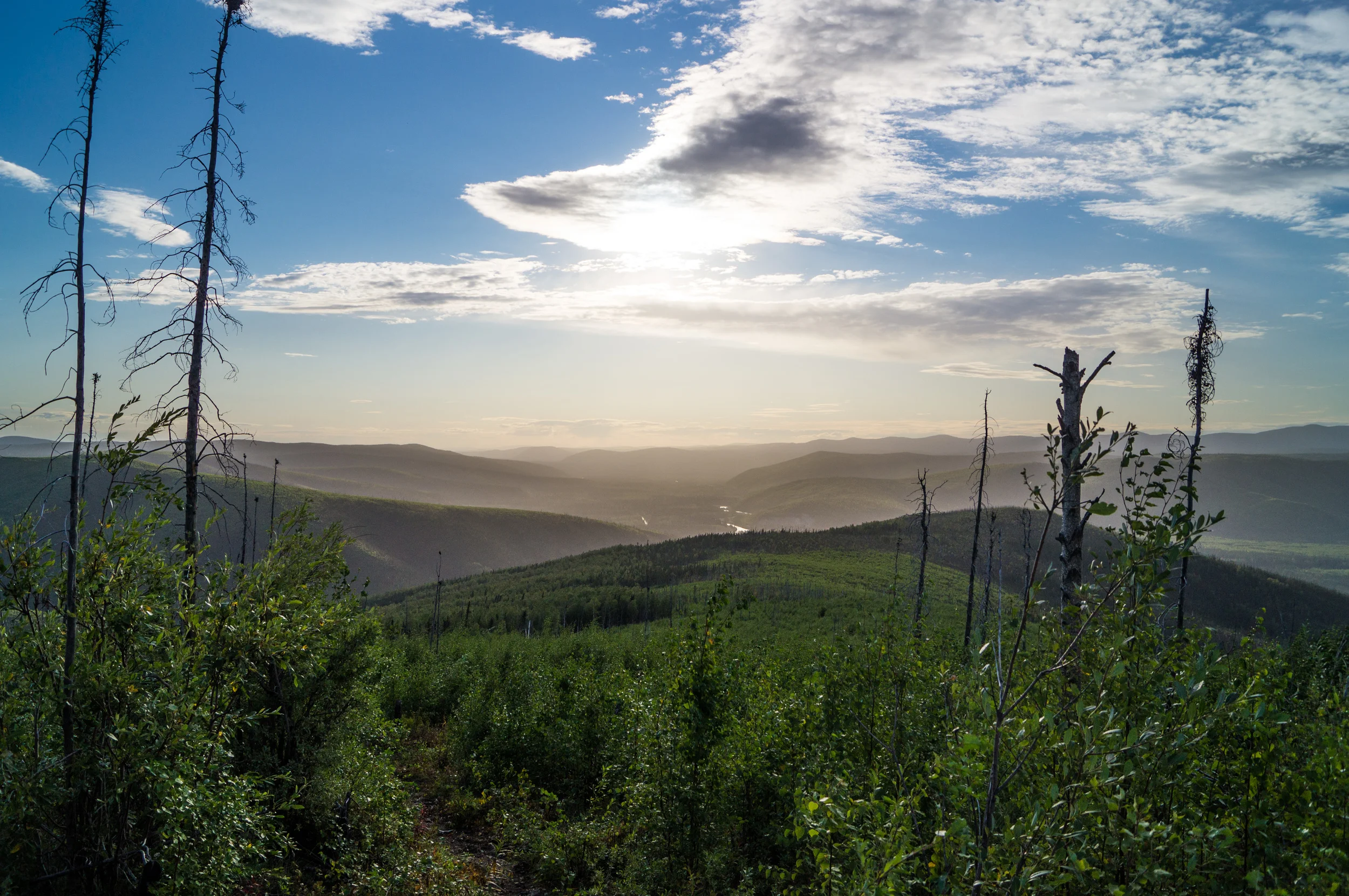 AK Landscape.jpg