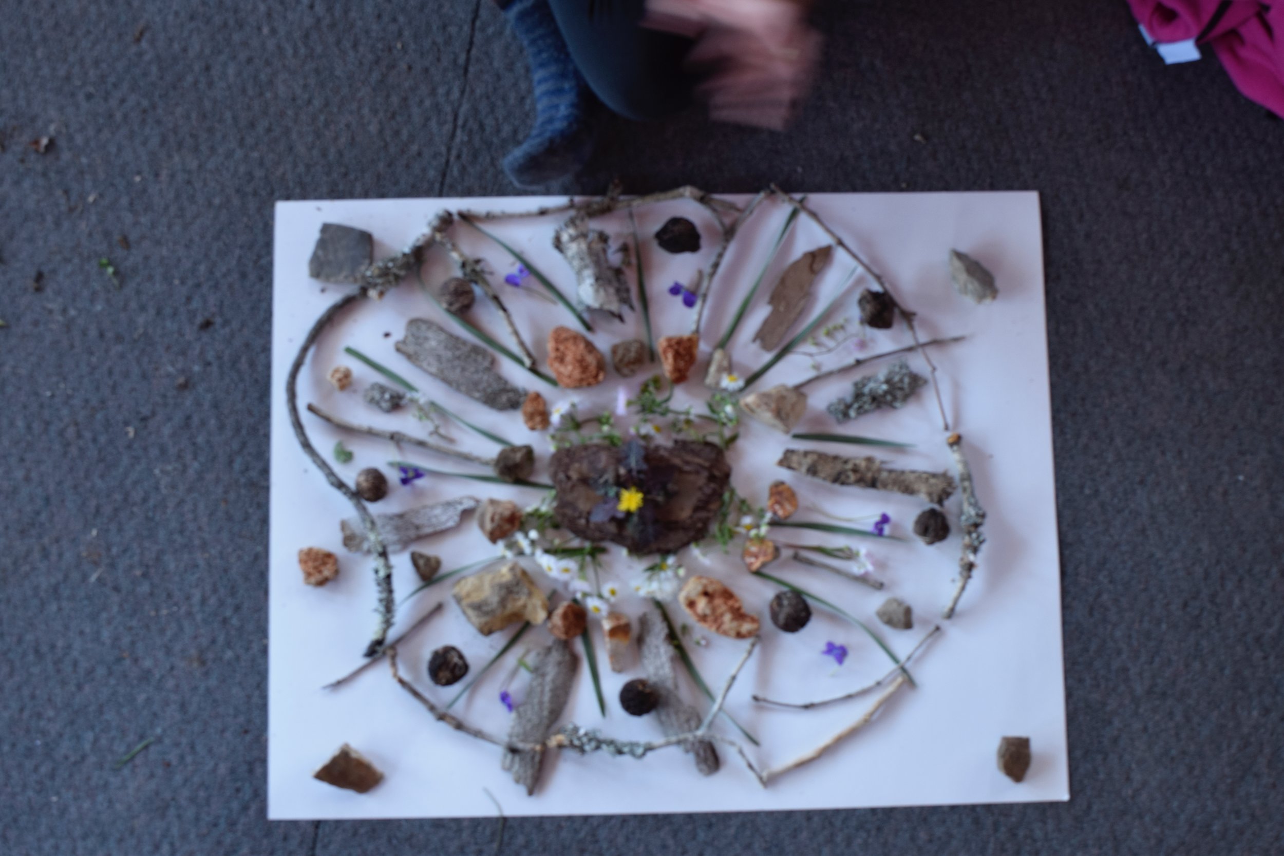 Nature Mandala7.jpg