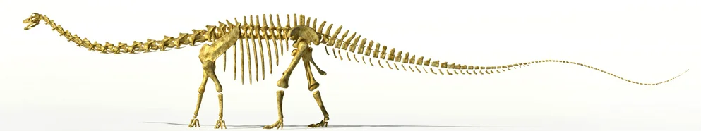 dino to use.jpg