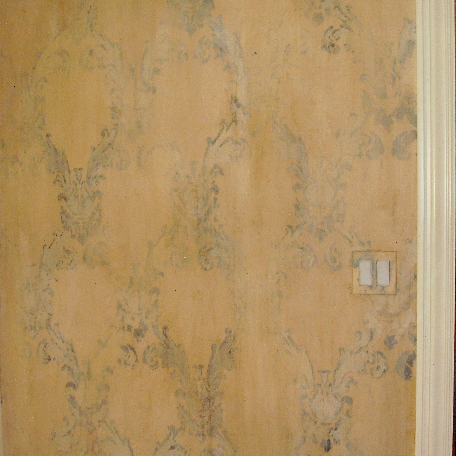 Trowelled lime paint stencil