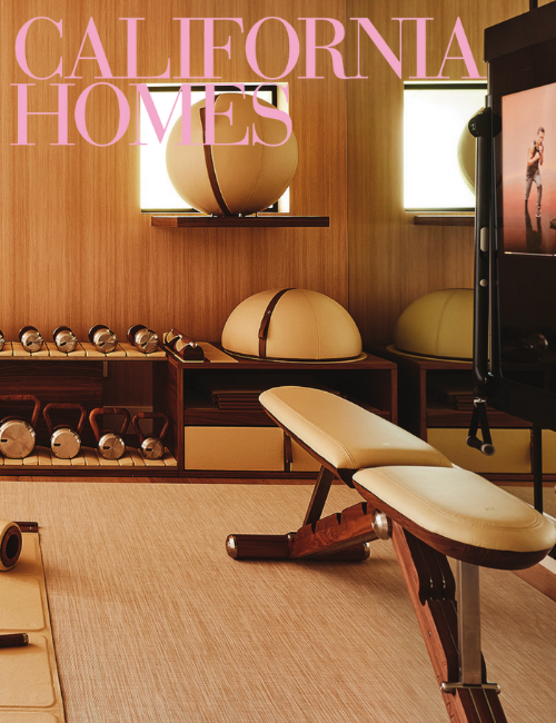 A Gym that Elevates Fitness to an Art Form