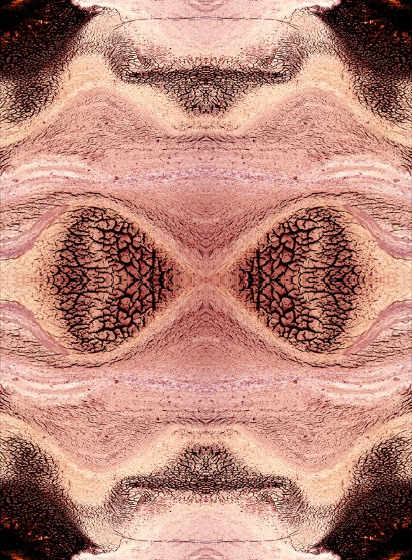 507982867_cd07076390_o.jpg