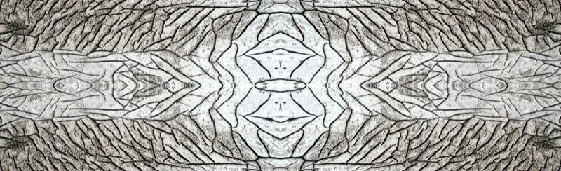 507955156_894b02a300_o.jpg