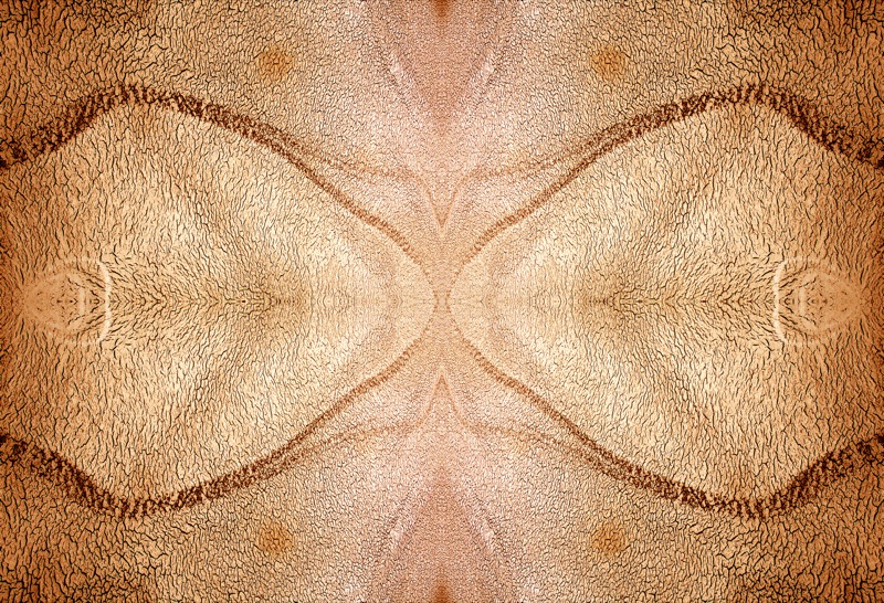 507984677_59fcb5d0f2_o.jpg