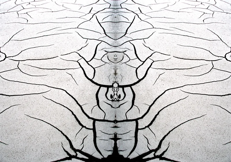 507956568_402d679cc2_o.jpg