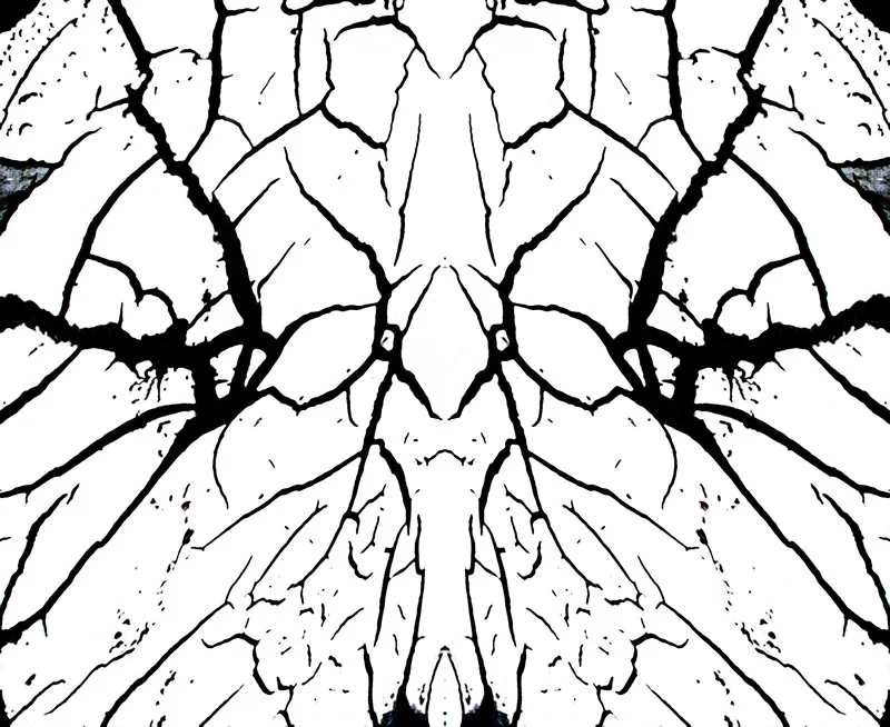 507987045_45453471ef_o.jpg