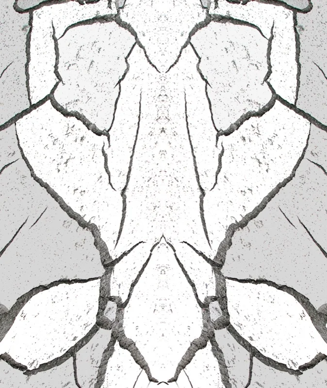 507986935_3656a26d45_o.jpg