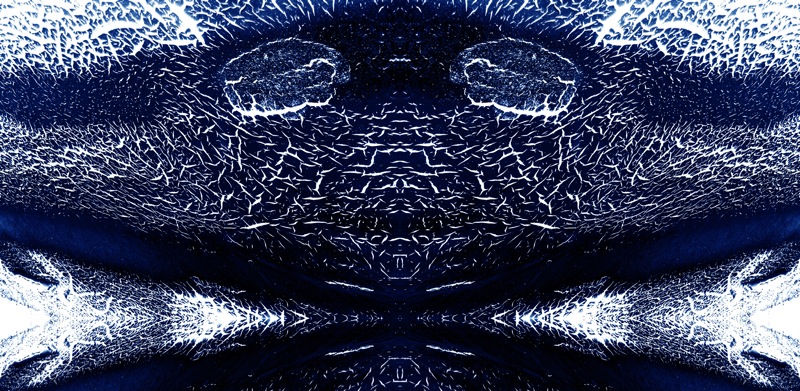 507958842_0009c5db97_o.jpg