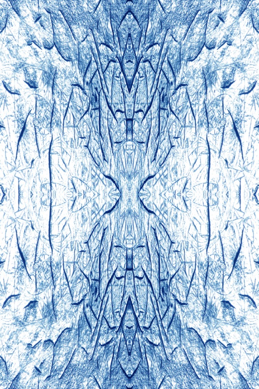 507960428_b21636837b_o.jpg