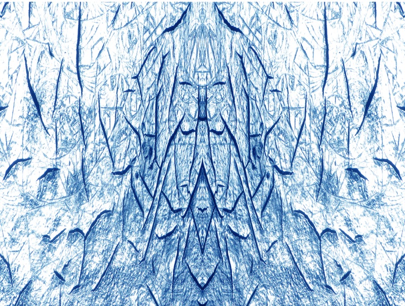 507988999_6a331e6cef_o.jpg