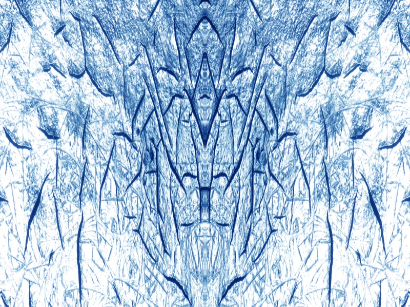 507961024_5e2e475ea6_o.jpg