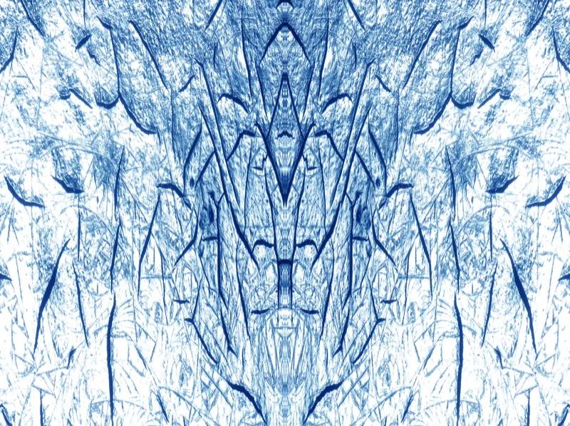 507961024_5e2e475ea6_o.jpg
