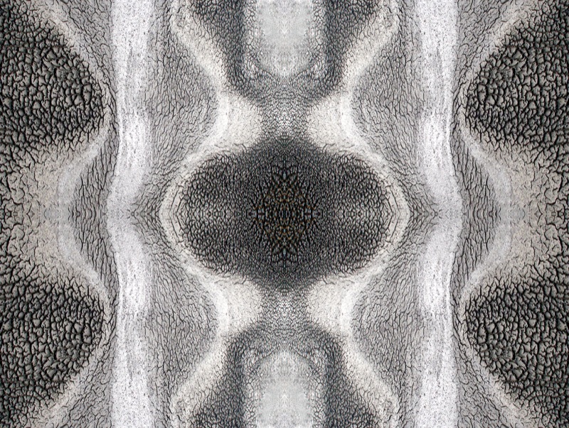 507962624_f7612e2cc9_o.jpg