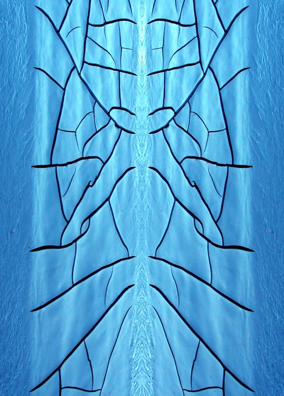 507991853_3d8222b861_o.jpg