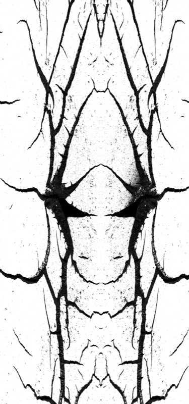 507995241_d07ee9a195_o.jpg