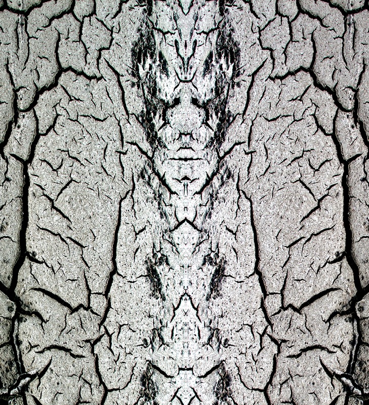 507993567_356ae4f54b_o.jpg