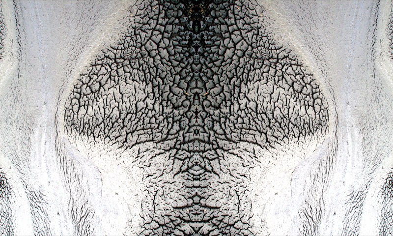 507964994_bf9ff2b10a_o.jpg