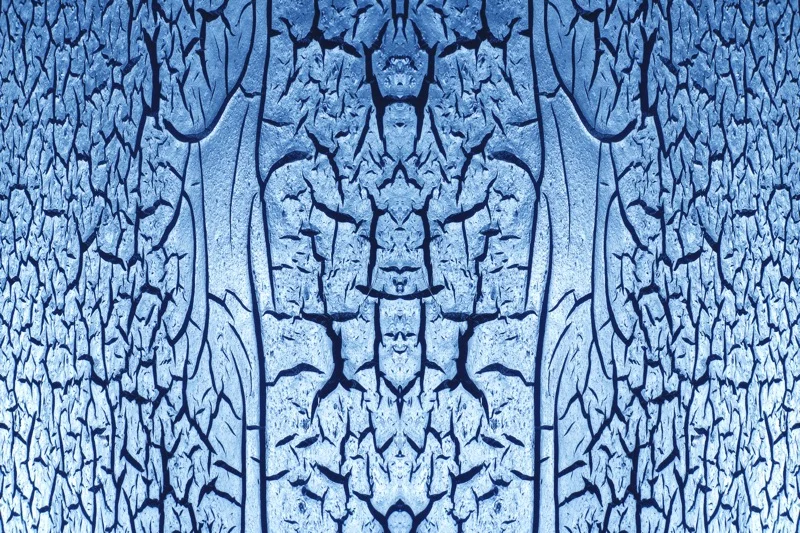 507994581_27b1d86c4d_o.jpg
