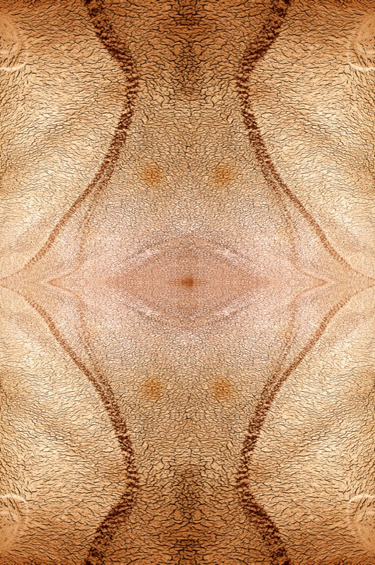 507983141_6edfd43b13_o.jpg