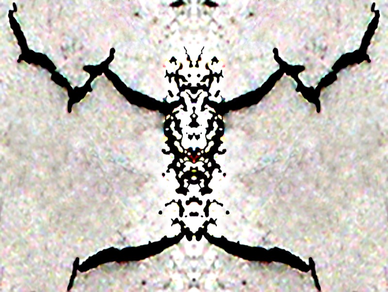 507984101_87f98a8dcf_o.jpg