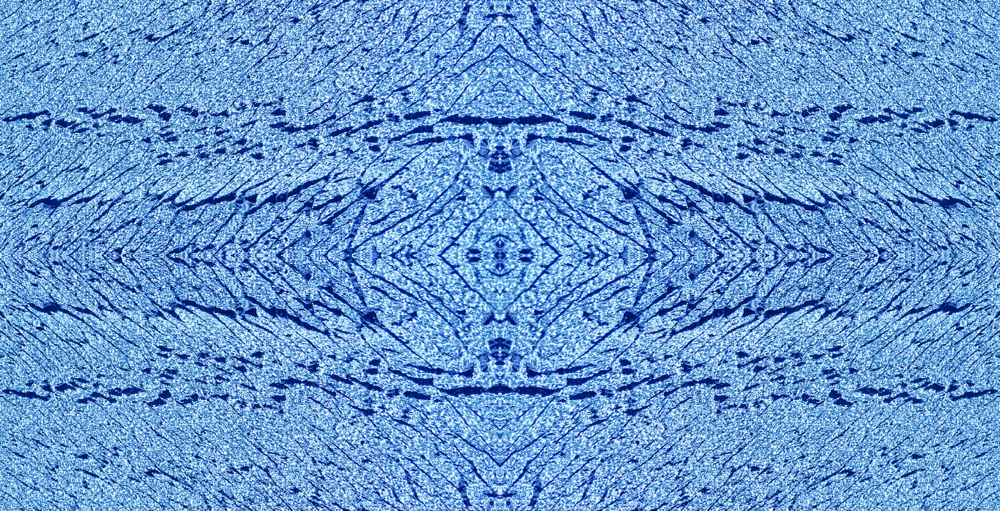 507101726_daa19a8658_o.jpg