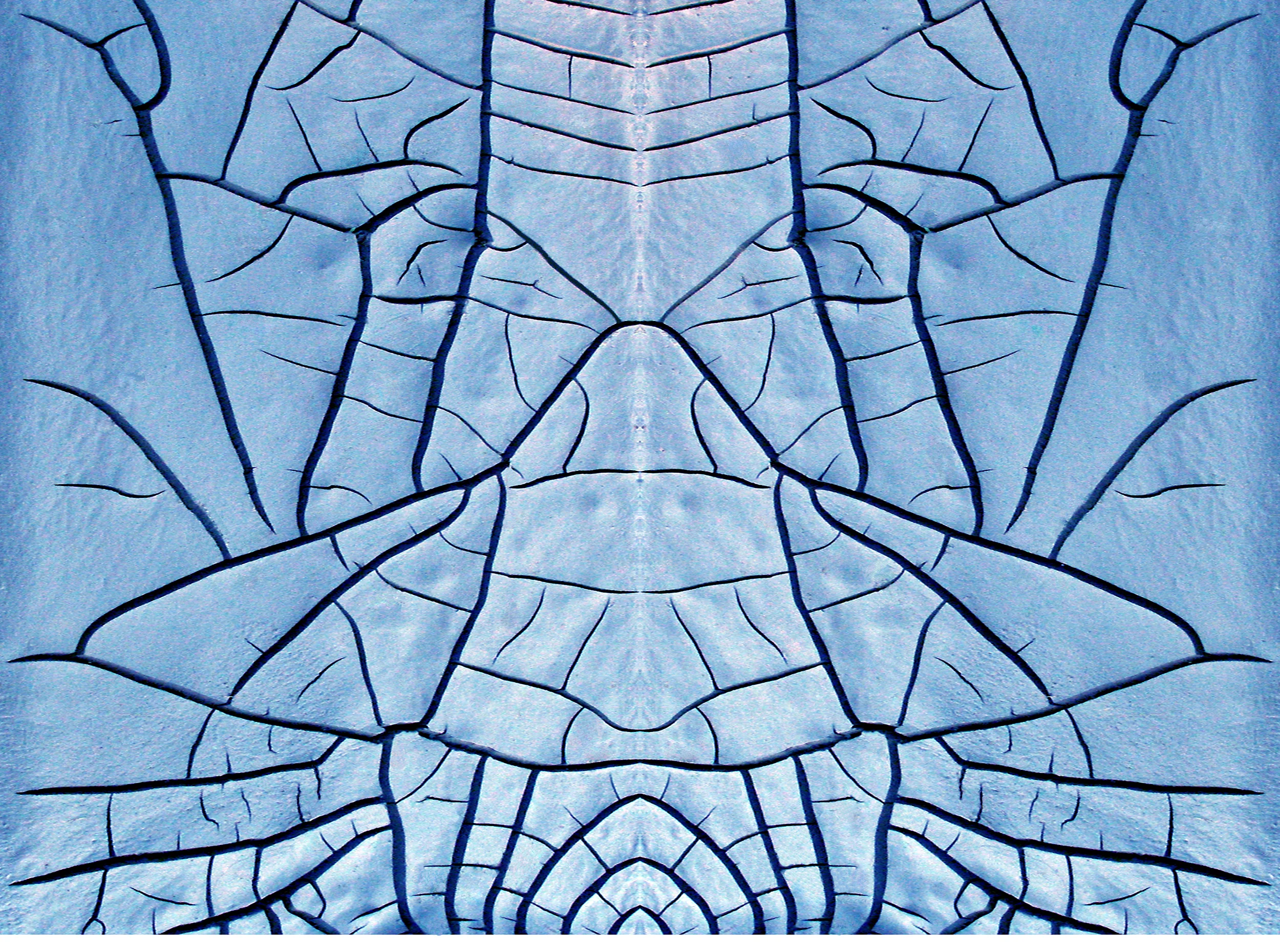 507098240_25913cfd86_o.jpg