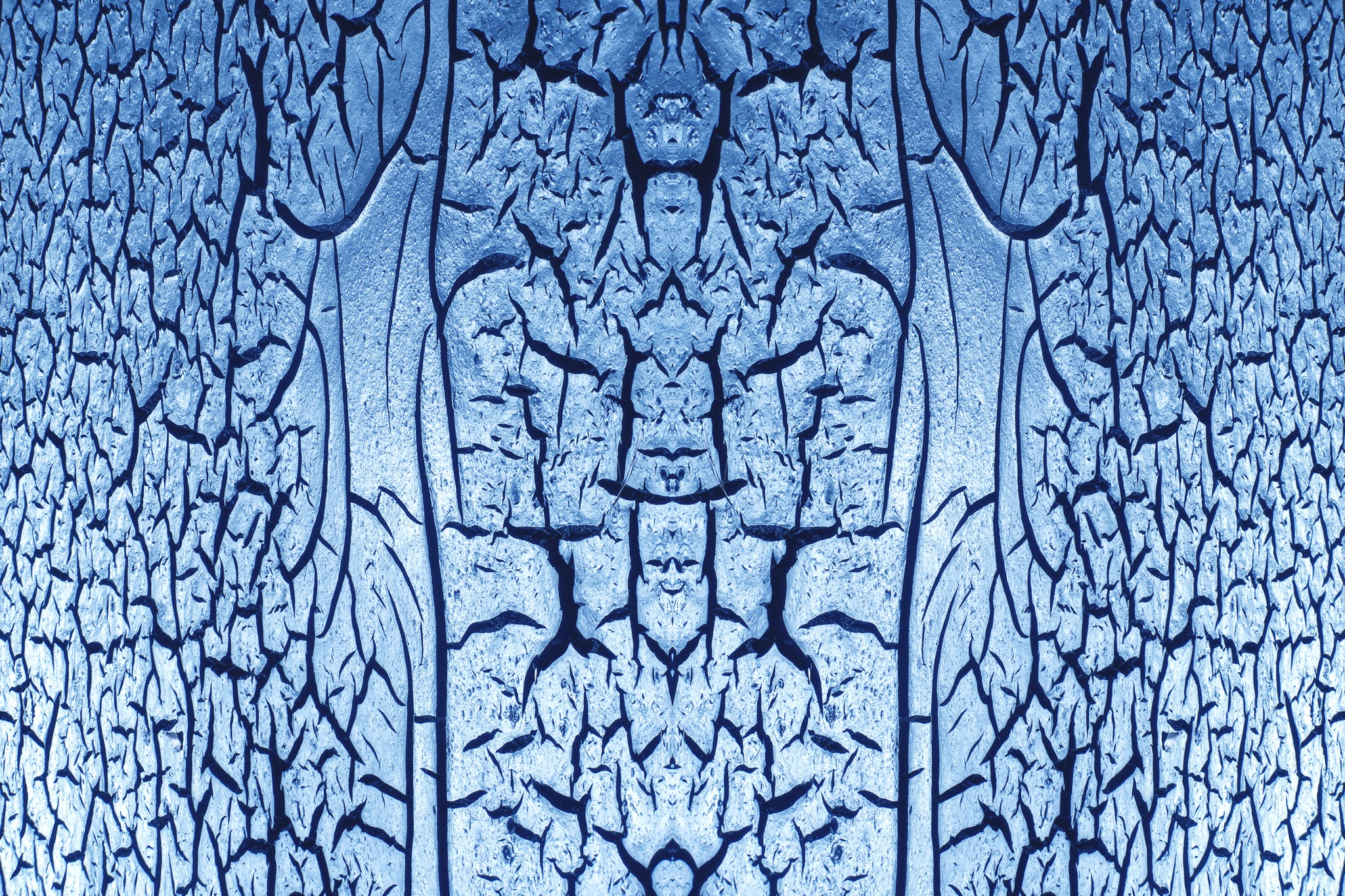 507133765_a52e7a1edf_o.jpg