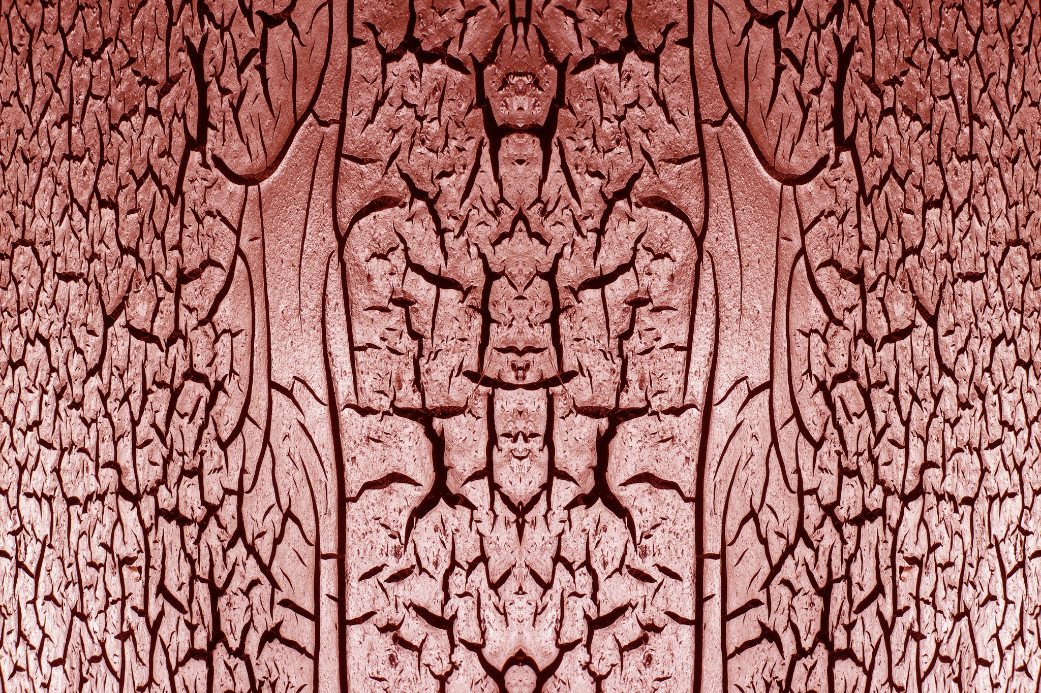 507103188_bbb54435de_o.jpg
