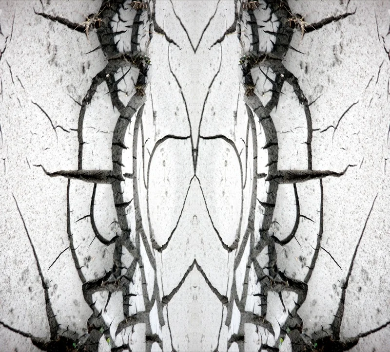 507982705_2eecd503d3_o.jpg