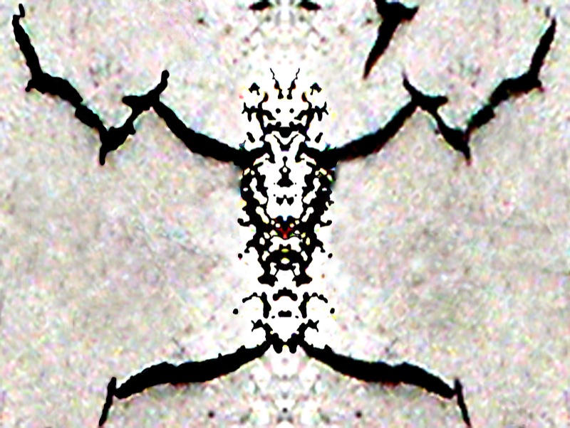 507982775_4a1bfd5eac_o.jpg