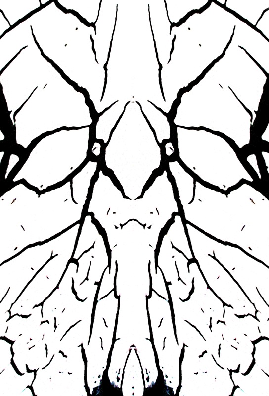 507958144_070fbe6697_o.jpg